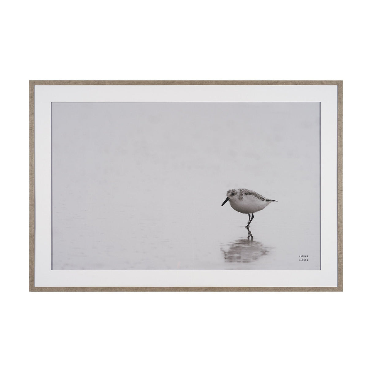 Tybee Island Sanderling by Nathan Larson a Hand Embellished Framed Photo Print under Glass by Mercana at Eve Furniture