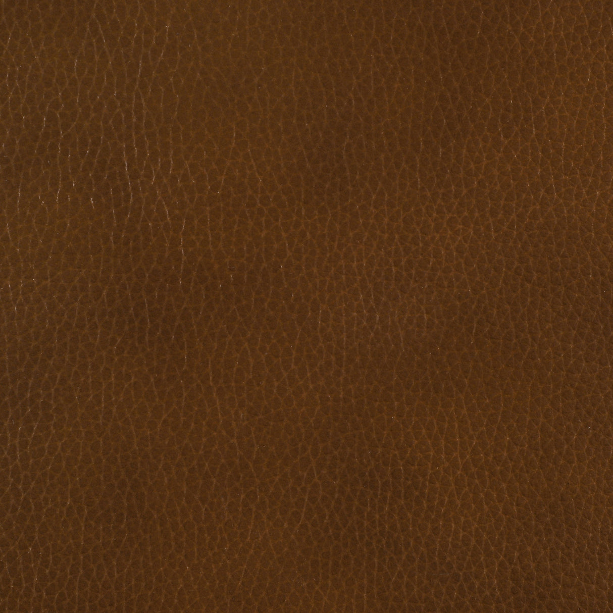Vardon Dark Brown Genuine Leather Bar Stool (Set of 2) by Coaster at Eve Furniture