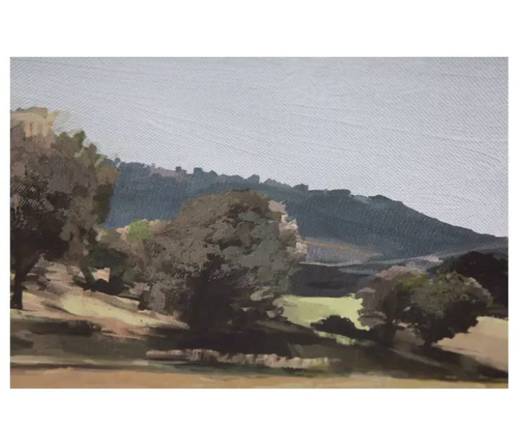Vast Country Framed Painting by Moe's Home at Eve Furniture