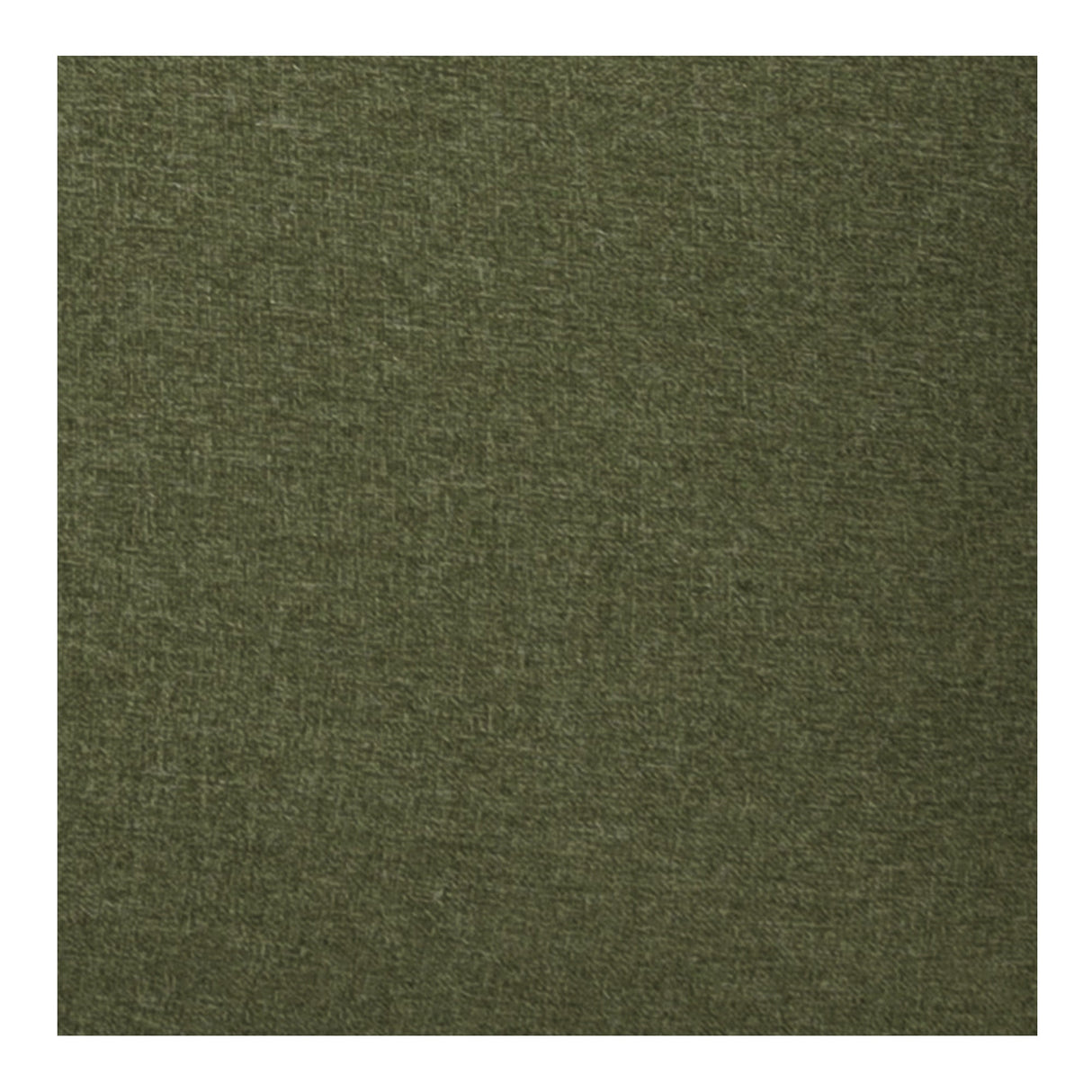 Verona Green Outdoor Dining Chair by Moe's Home at Eve Furniture