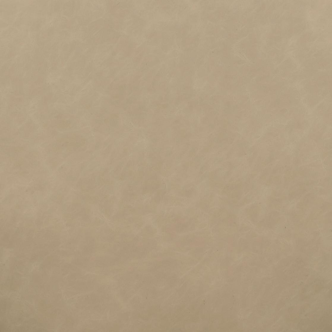 Vina Vegan Leather Dining Chair by TOV Furniture at Eve Furniture