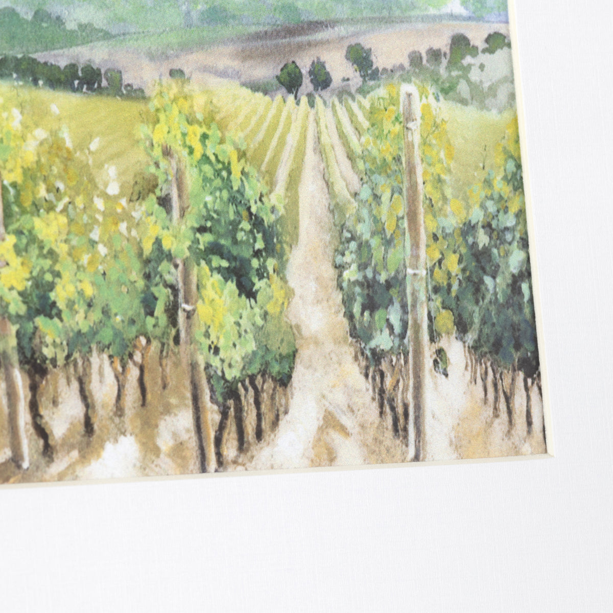 Vineyards Green/Gold Print by Crestview at Eve Furniture