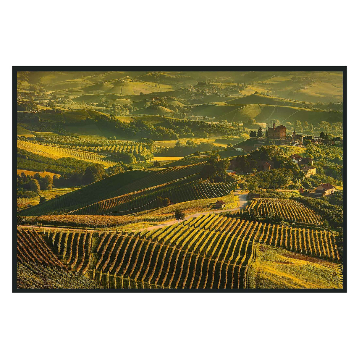 Vinyard Green Photography 48x72 by Classic Home at Eve Furniture