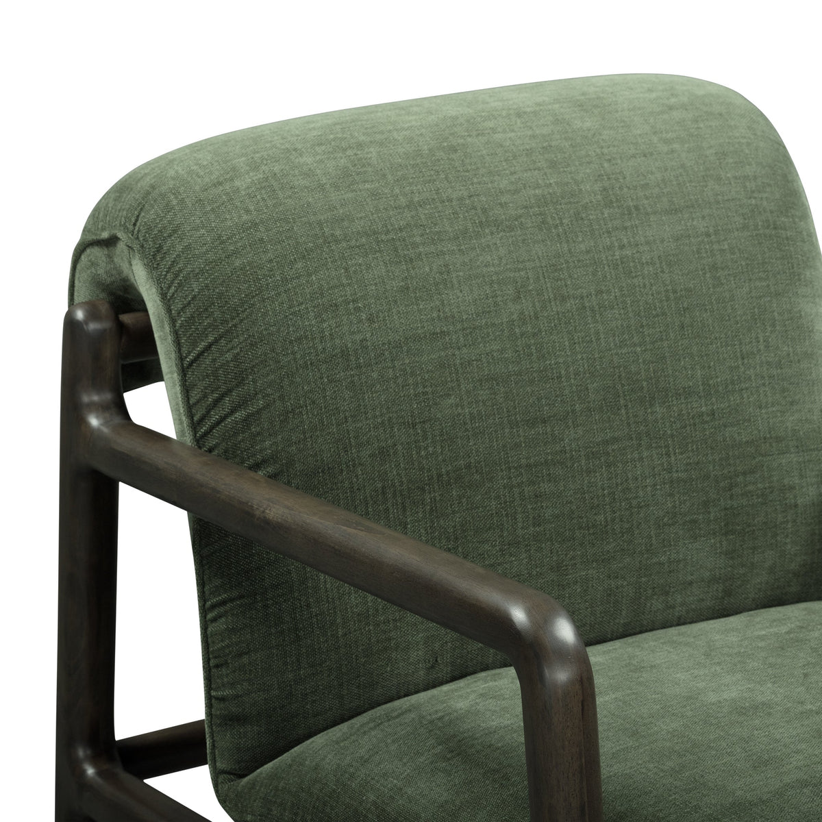 Vivienne Upcycled Performance Velvet Accent Chair by TOV Furniture at Eve Furniture