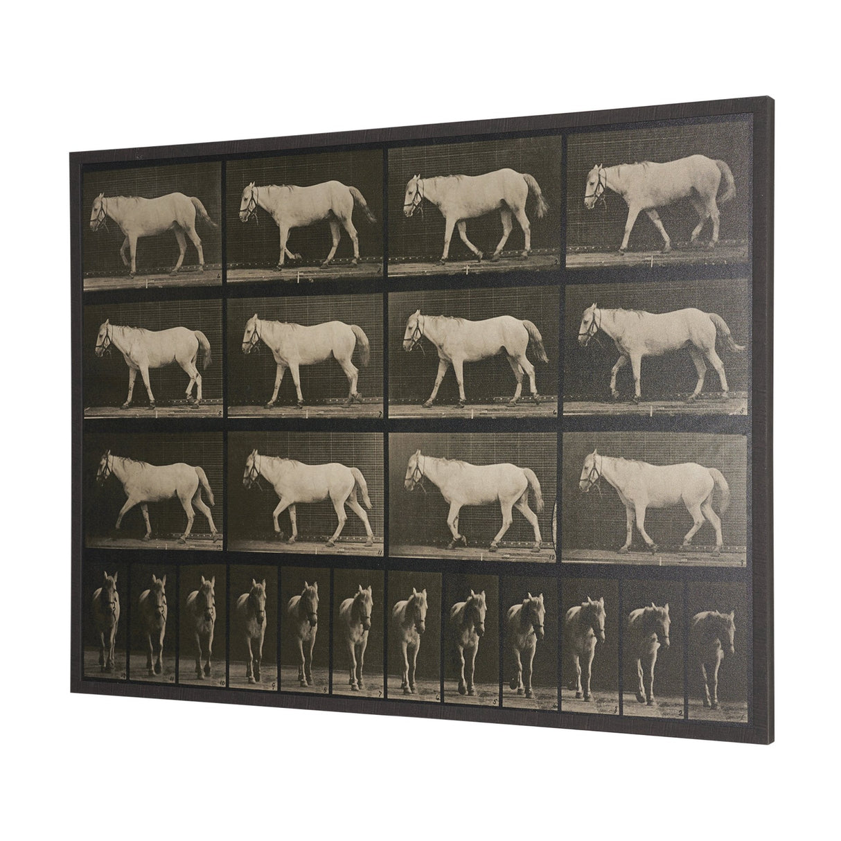 Walking Free by Eadweard Muybridge Textured Framed CanvasPhoto Print by Mercana at Eve Furniture