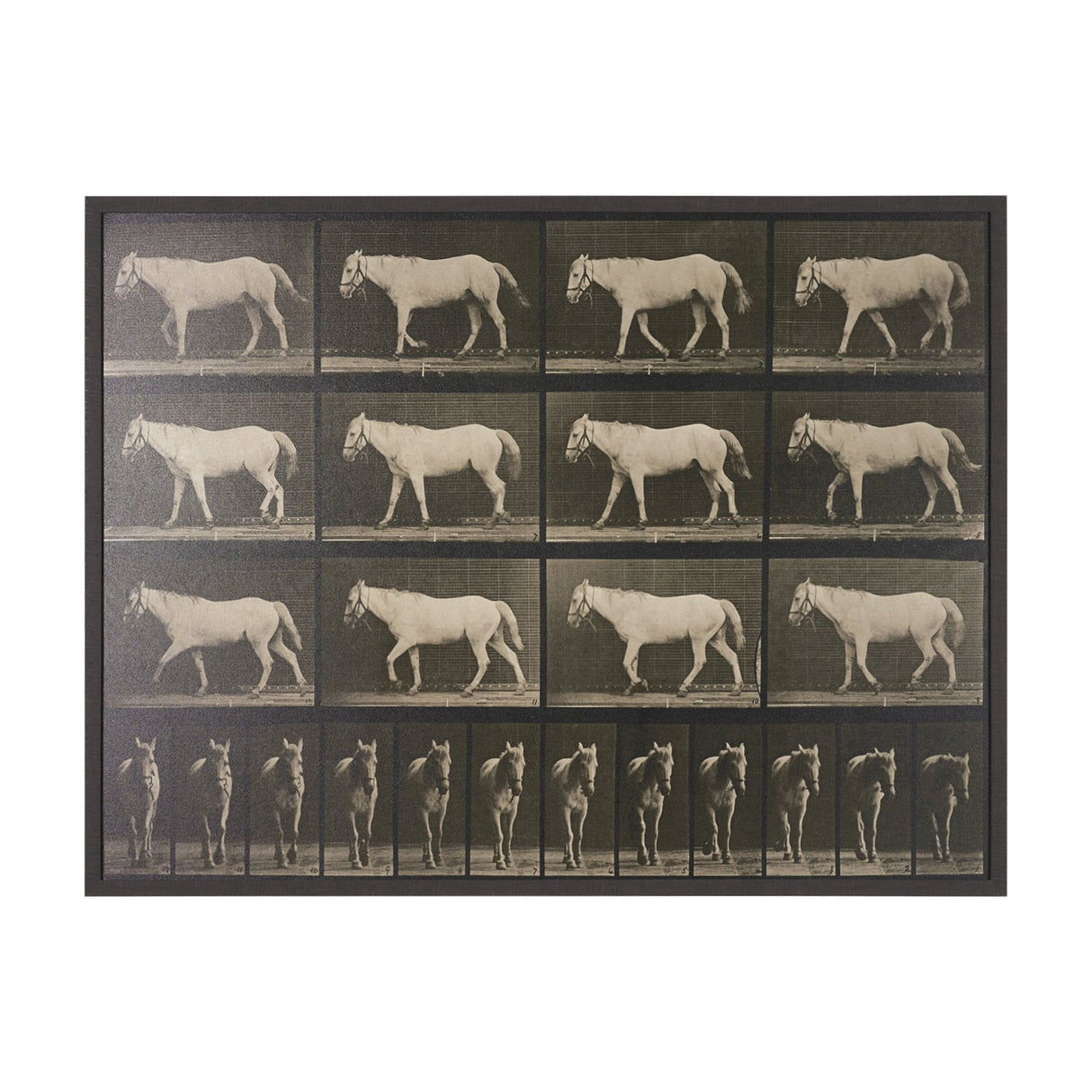 Walking Free by Eadweard Muybridge Textured Framed CanvasPhoto Print by Mercana at Eve Furniture