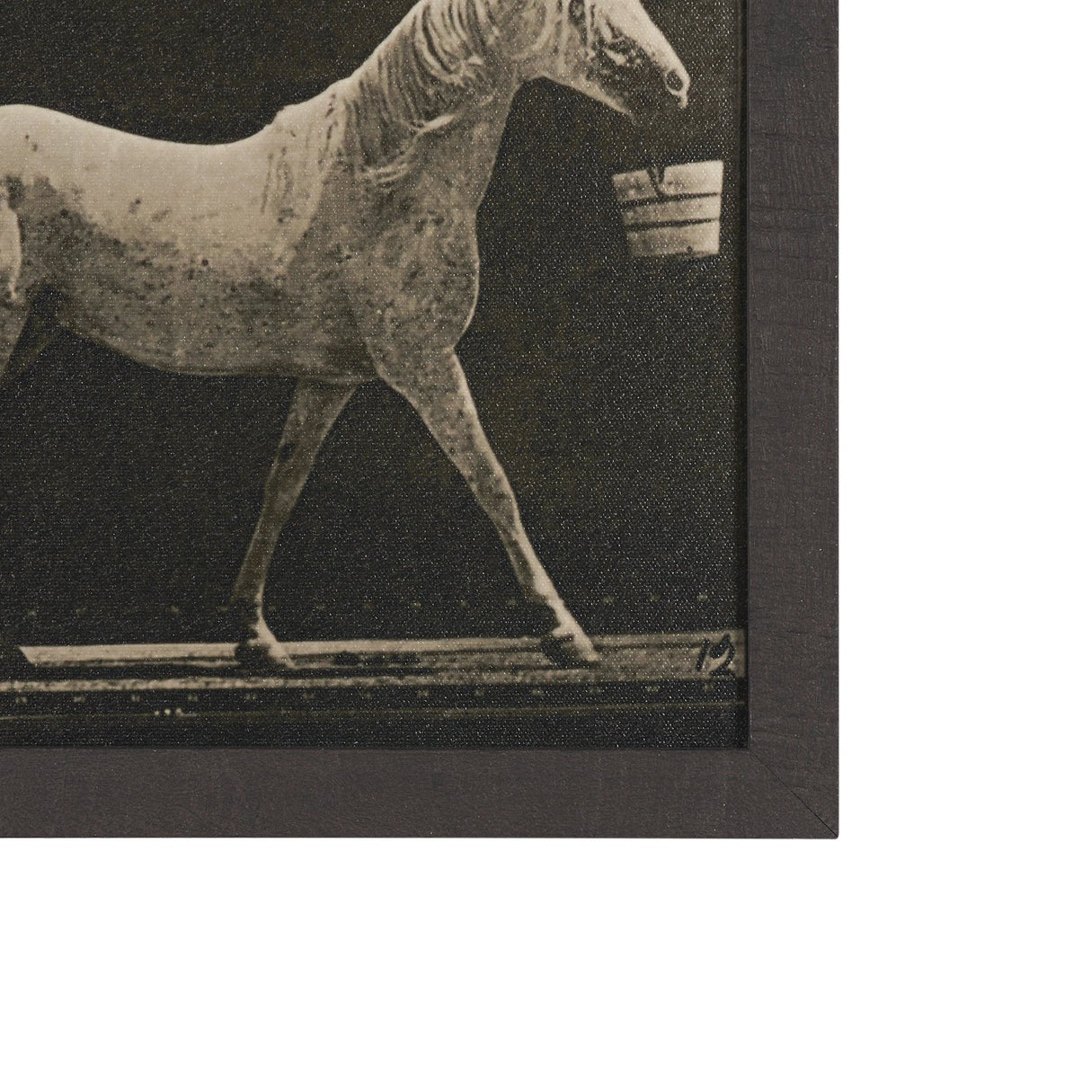 Walking Tall by Eadweard Muybridge Textured Framed CanvasPhoto Print by Mercana at Eve Furniture