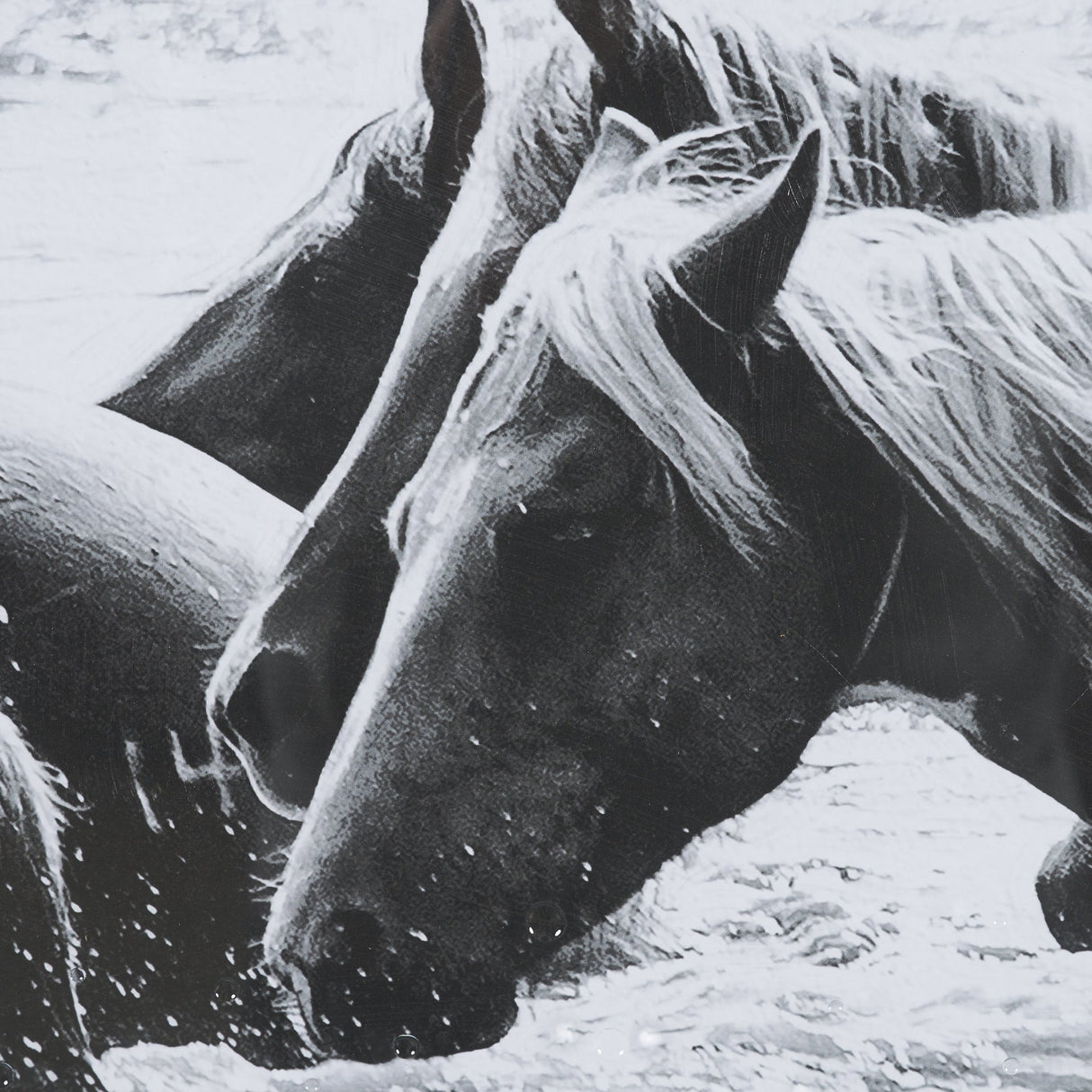 Water Horses III 1 by PH Burchett a Hand Embellished Textured Framed Photo Art Print Matted under Gl by Mercana at Eve Furniture