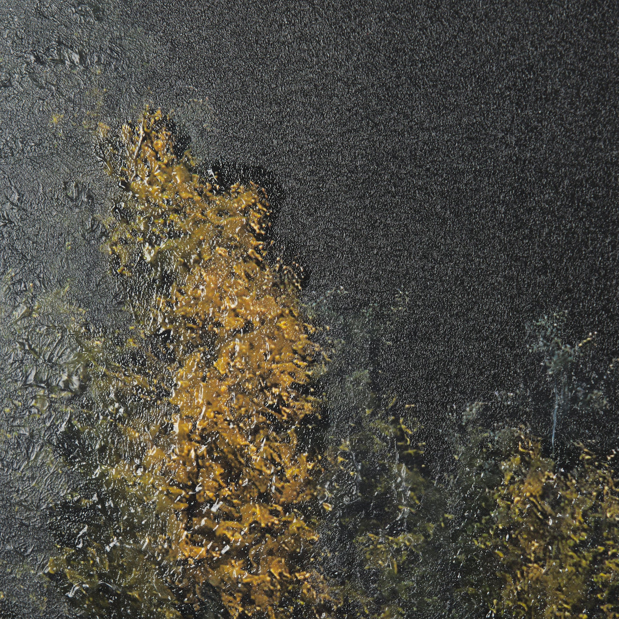 Water's Reflection-L by Chad Mackay a Hand Embellished Textured Framed Art Print Matted under Glass by Mercana at Eve Furniture