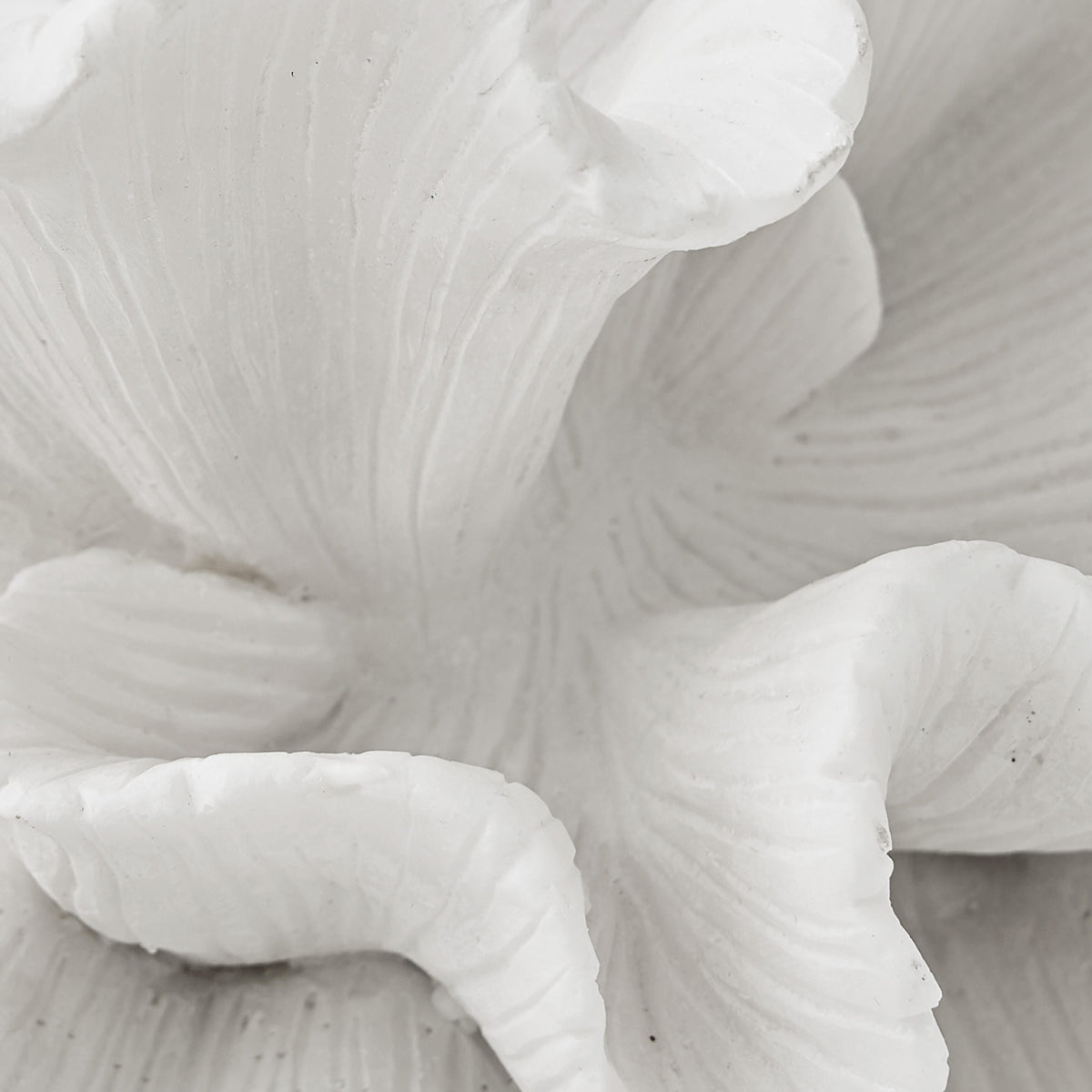 Waynemont White Sculpture by Ashley at Eve Furniture