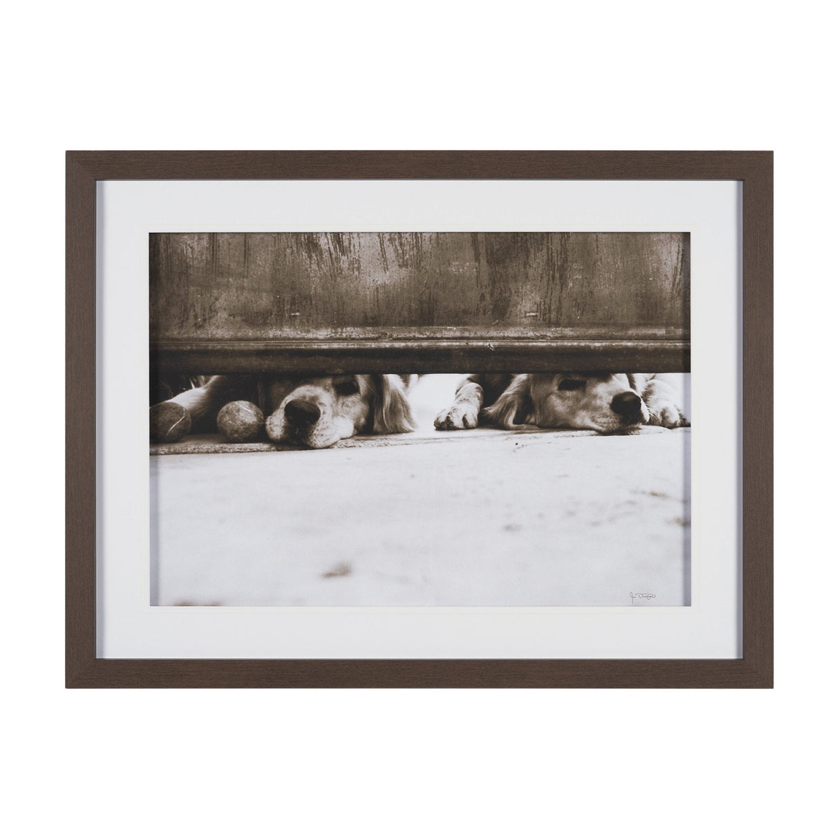 We See You Dogs by Jim Dratfield Framed Photo Print under Glass by Mercana at Eve Furniture