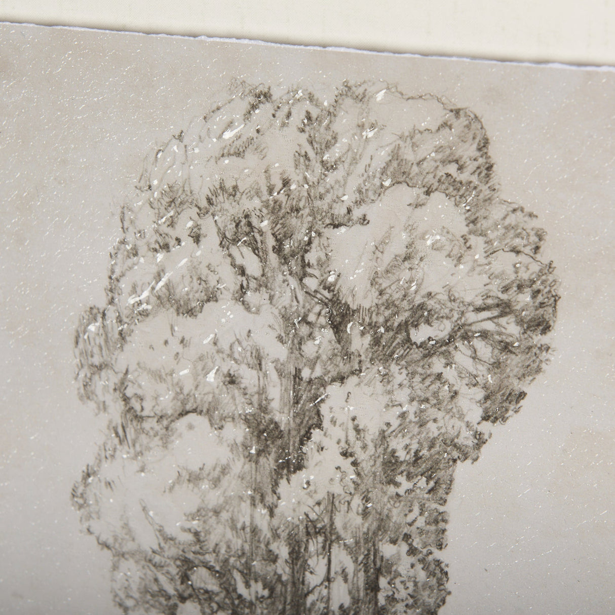 Westcoast Tree Drawing I by Mercana Studio Hand Embellished Framed Art Print Matted under Glass by Mercana at Eve Furniture