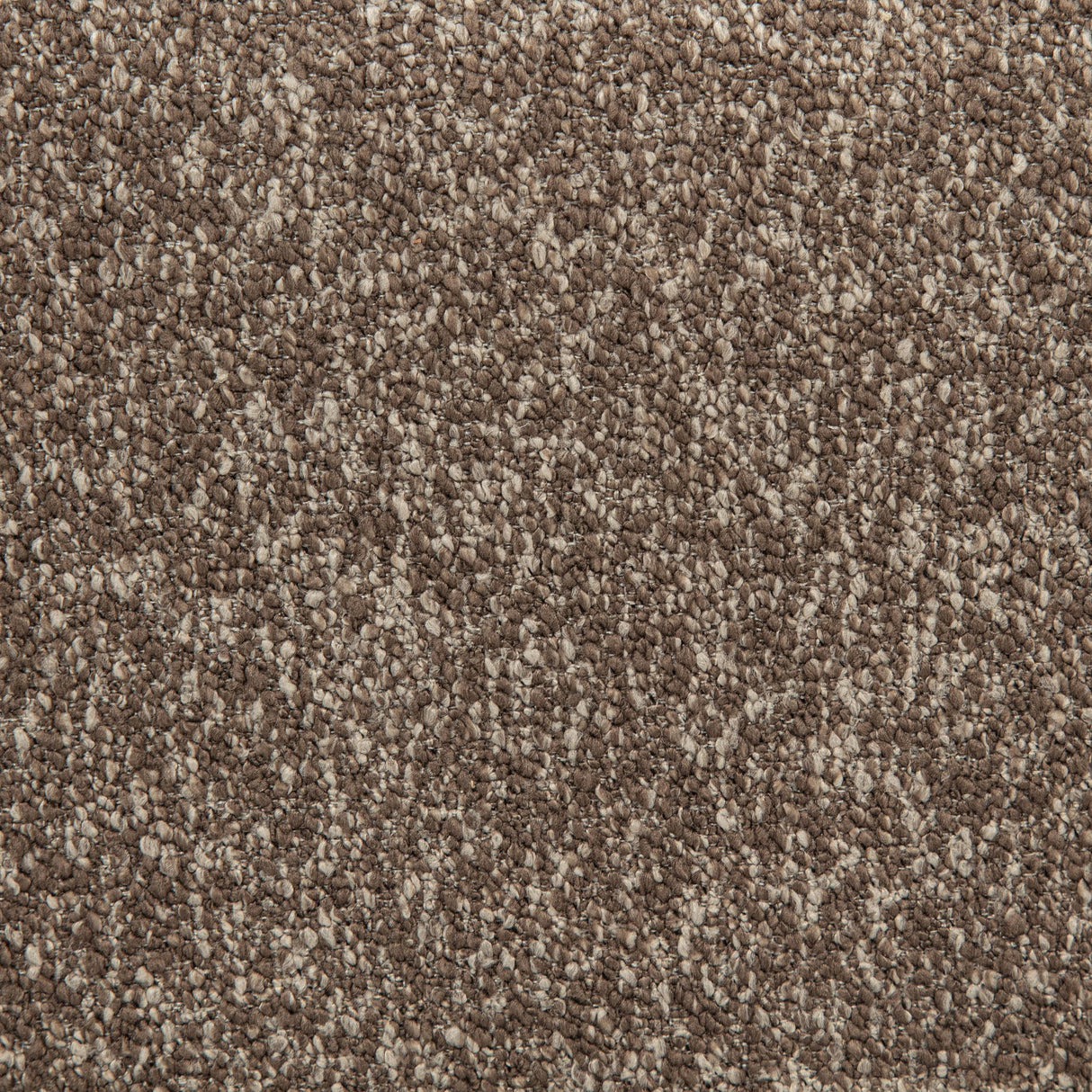 Westhill Rocky Road Boucle Upholstered Swivel Accent Chair by Coaster at Eve Furniture