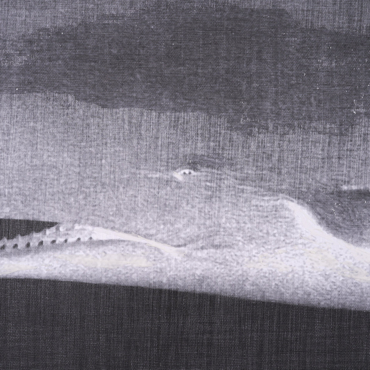 Whale Watching II by John Butler a Hand Embellished Framed Art Print by Mercana at Eve Furniture