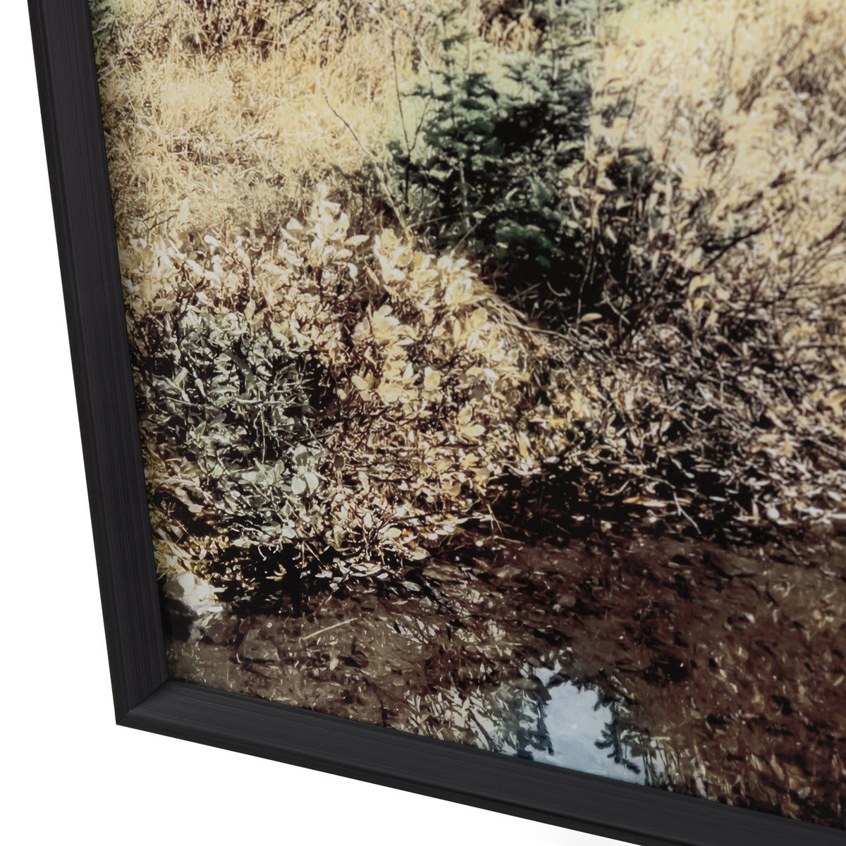 Wheeler Green/Brown Wall Art by Crestview at Eve Furniture