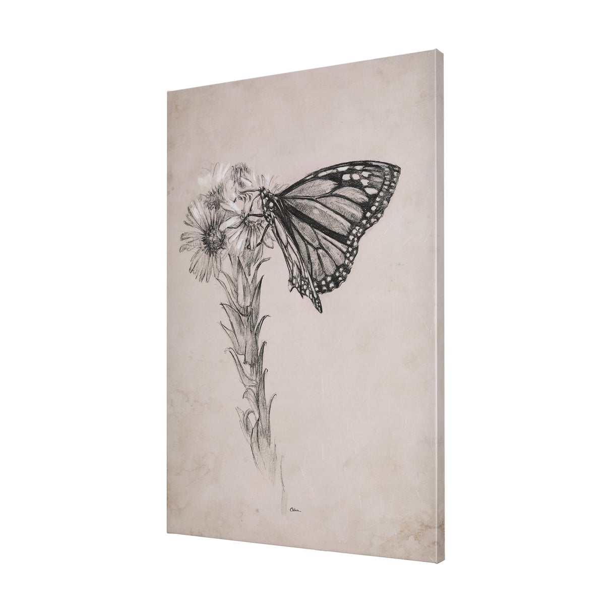 Wild Aster With Monarch Butterfly Drawing III by Mercana Studio a Hand Embellished Textured Canvas by Mercana at Eve Furniture