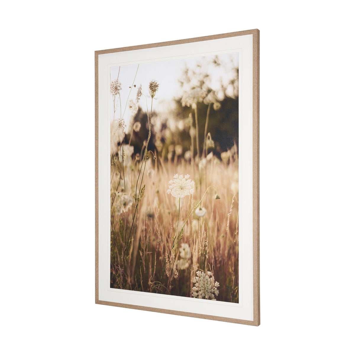 Wild Carrot Flowers by Zaira Zarotti Textured Framed Photo Print Matted under Glass by Mercana at Eve Furniture