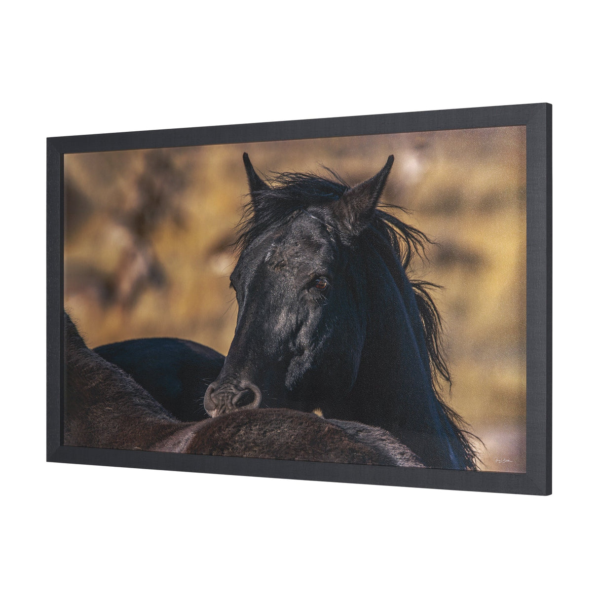 Wild Horses by Gary Blatter a Hand Embellished Textured Framed Photo Art Print by Mercana at Eve Furniture
