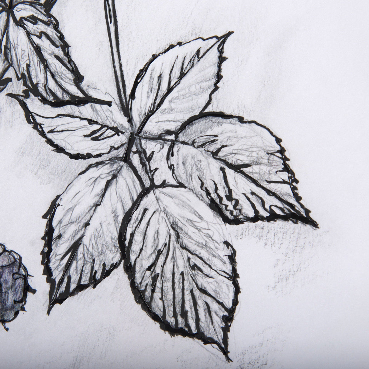 WildBerry Collection Blackberry Mercana Studio Hand Embellished Framed Art Print Matted under Glass by Mercana at Eve Furniture