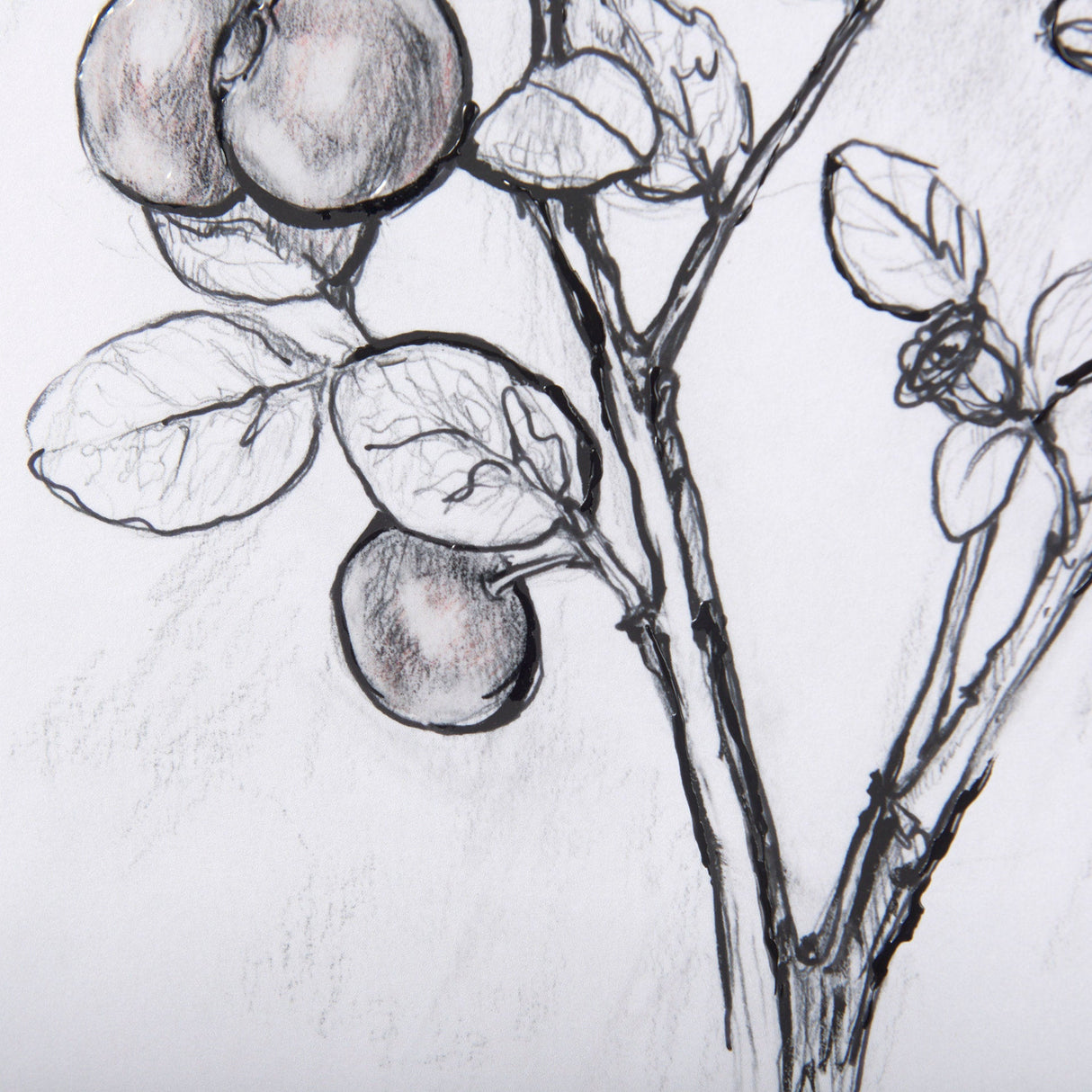WildBerry Collection Hucklberry Mercana Studio Hand Embellished Framed Art Print Matted under Glass by Mercana at Eve Furniture