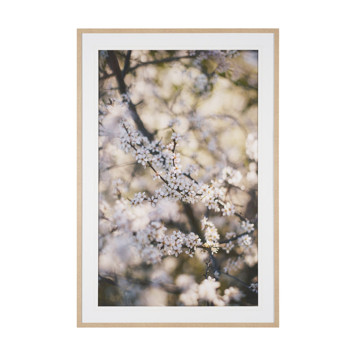 Wilde Prunus by Zaira Zarotti Textured Framed Photo Print Matted under Glass by Mercana at Eve Furniture
