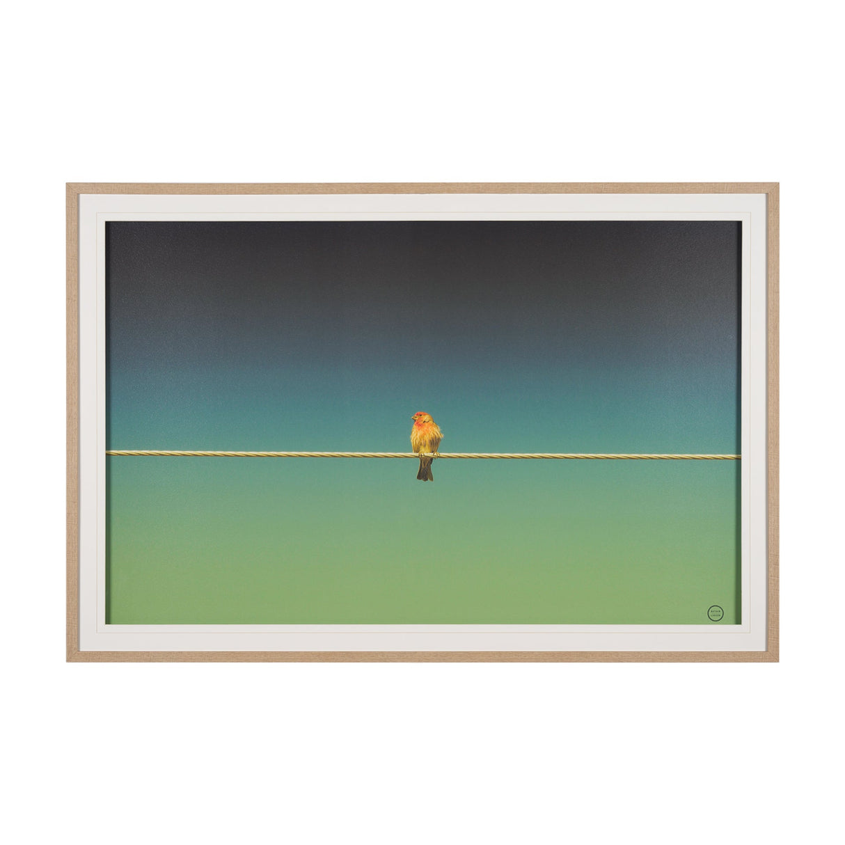 Wired Finch by Nathan Larson a Hand Embellished Framed Photo Art Print Matted under Glass by Mercana at Eve Furniture