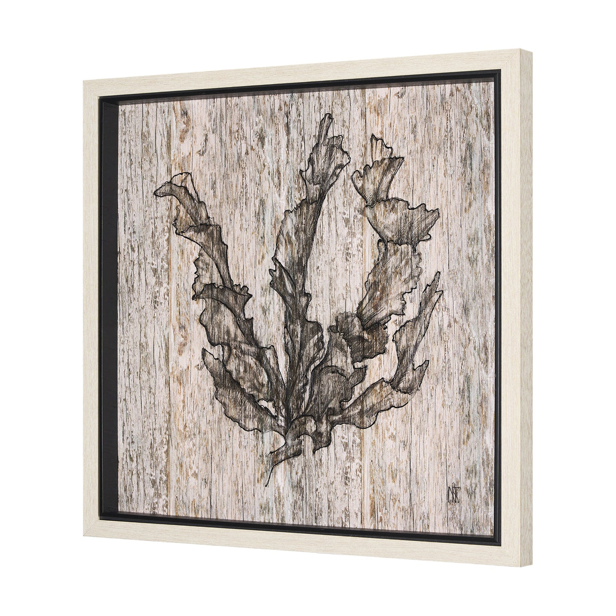 Wood Grain Sea Plant I by Mercana Studio a Hand Embellished Textured Framed Art Print by Mercana at Eve Furniture