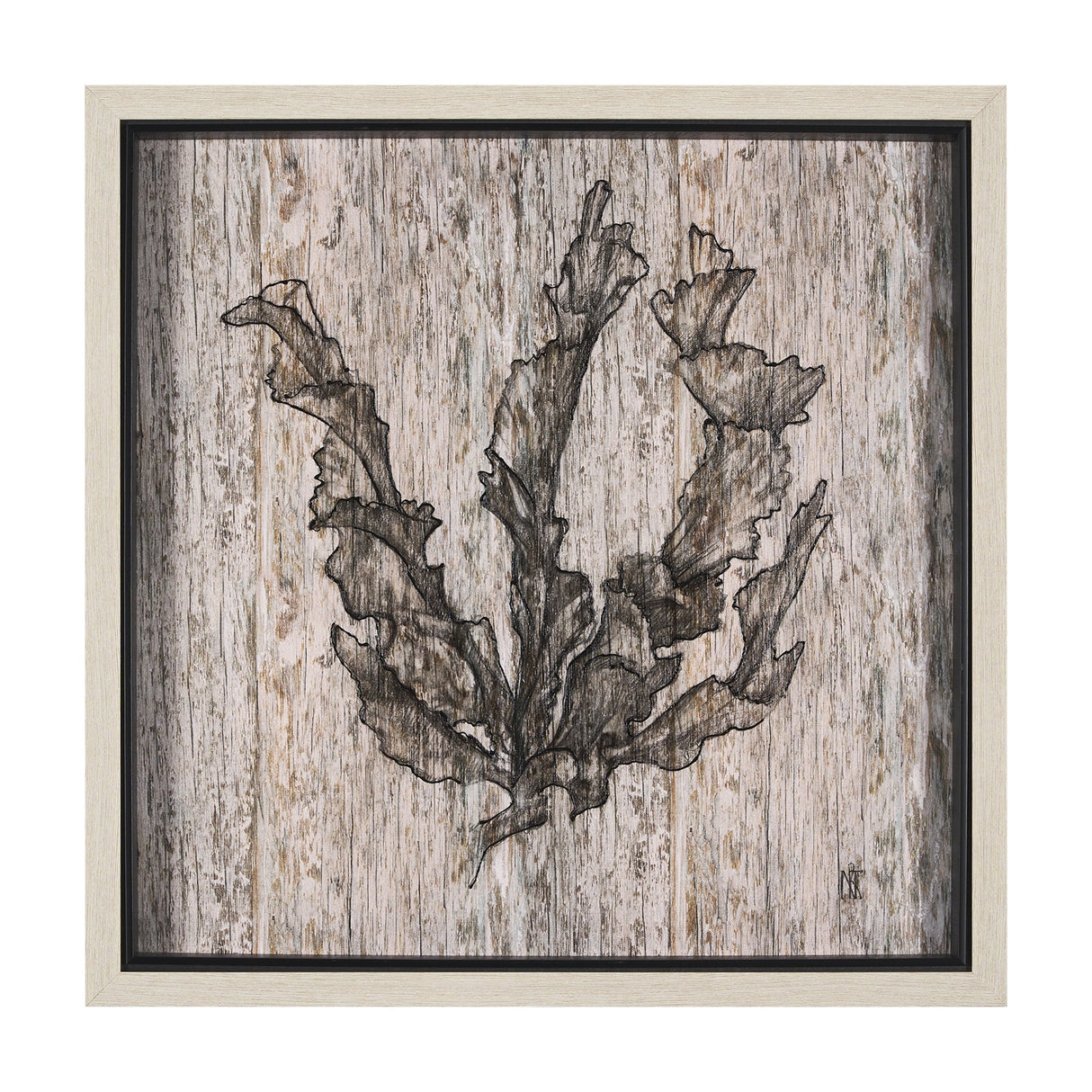 Wood Grain Sea Plant I by Mercana Studio a Hand Embellished Textured Framed Art Print by Mercana at Eve Furniture