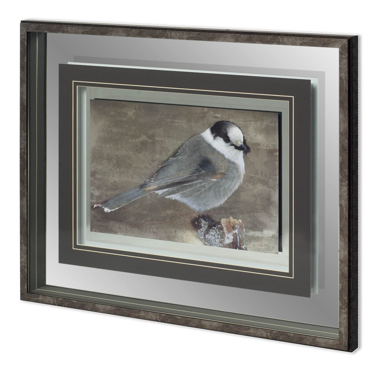 Woodland Animal Bird by Stephan Fontaine Hand Embellished Framed Art Print Matted under Glass by Mercana at Eve Furniture
