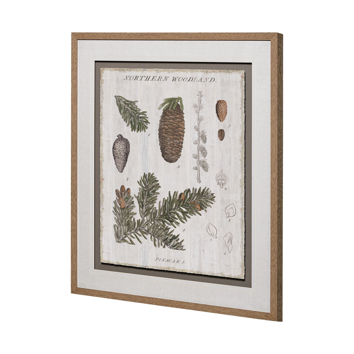 Woodland Chart IV by Sue Schlabach a Hand Embellished Textured Framed Art Print Matted under Glass by Mercana at Eve Furniture