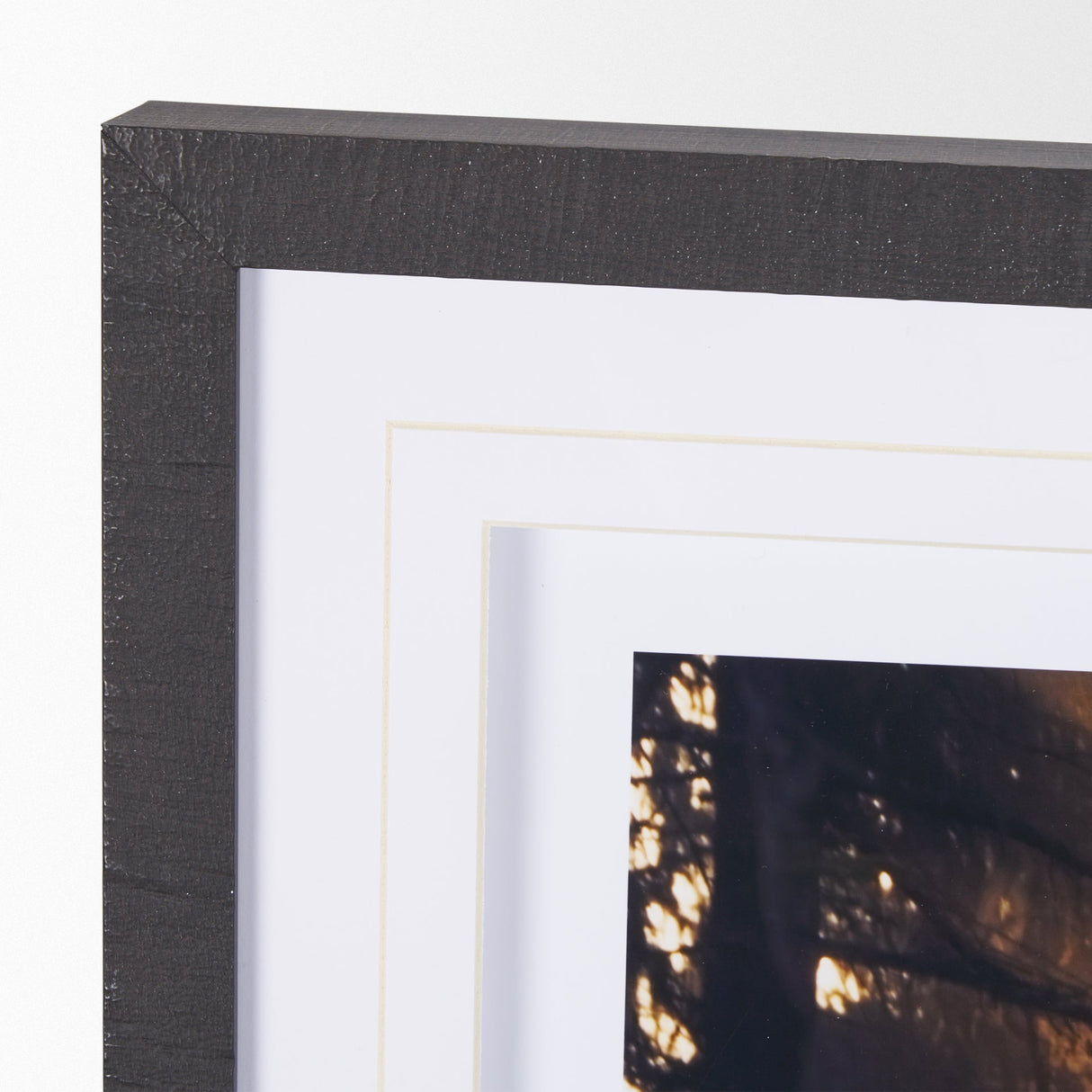 Woodland Glow by Andreas Stridsberg a Hand Embelished Textured Framed Art Photo Matted under Glass by Mercana at Eve Furniture