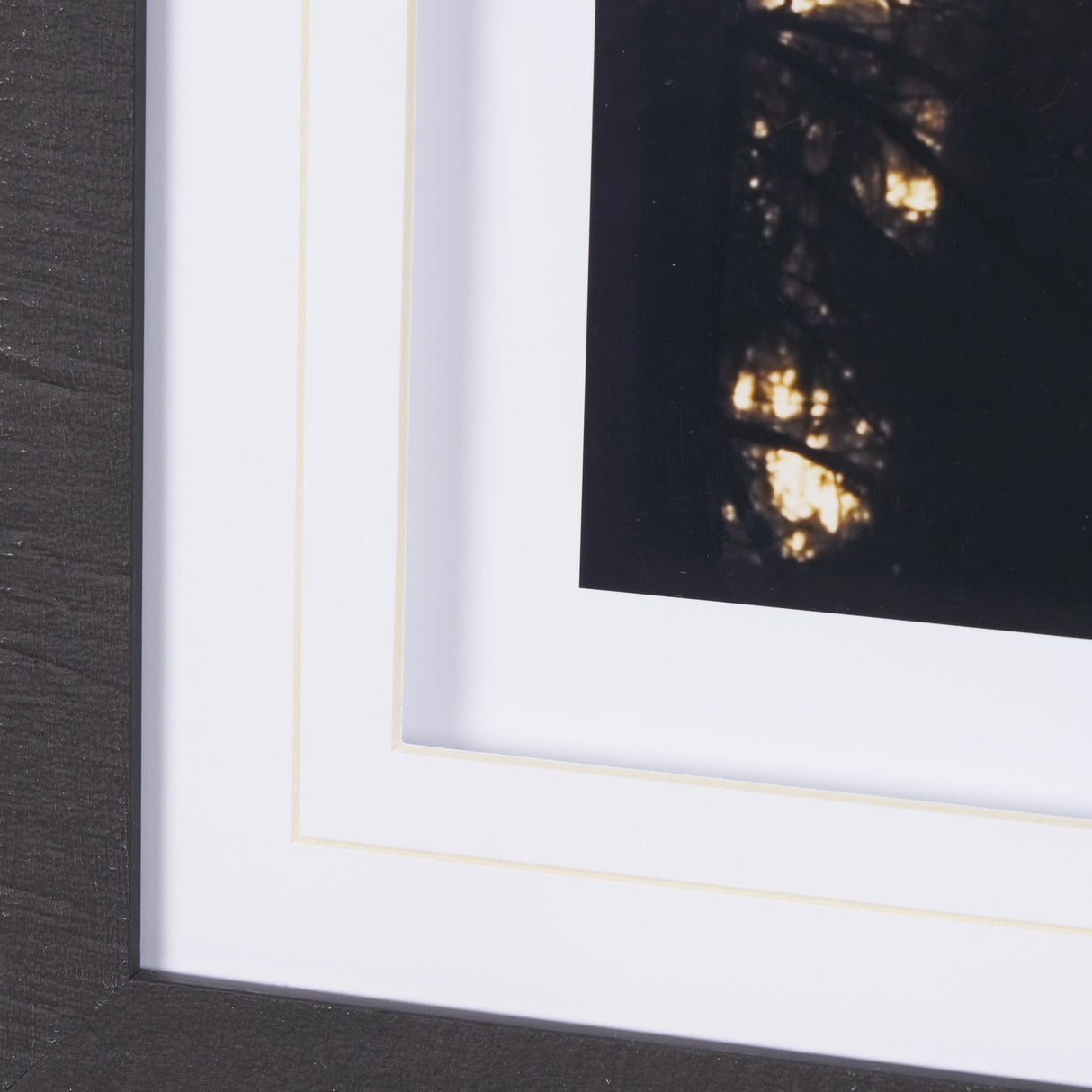 Woodland Glow by Andreas Stridsberg a Hand Embelished Textured Framed Art Photo Matted under Glass by Mercana at Eve Furniture