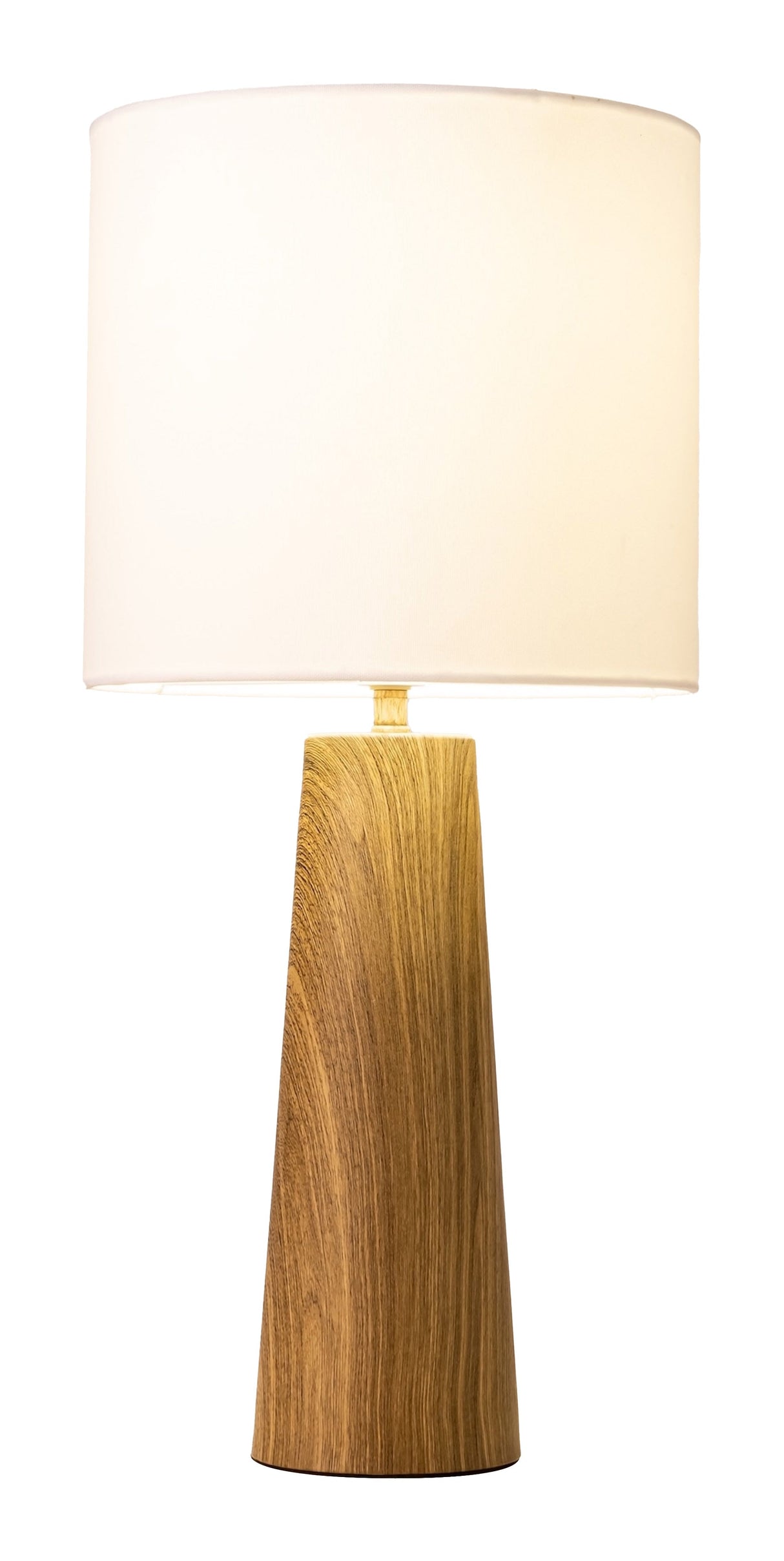 Woonari Brown Solar Table Lamp by Zuomod at Eve Furniture