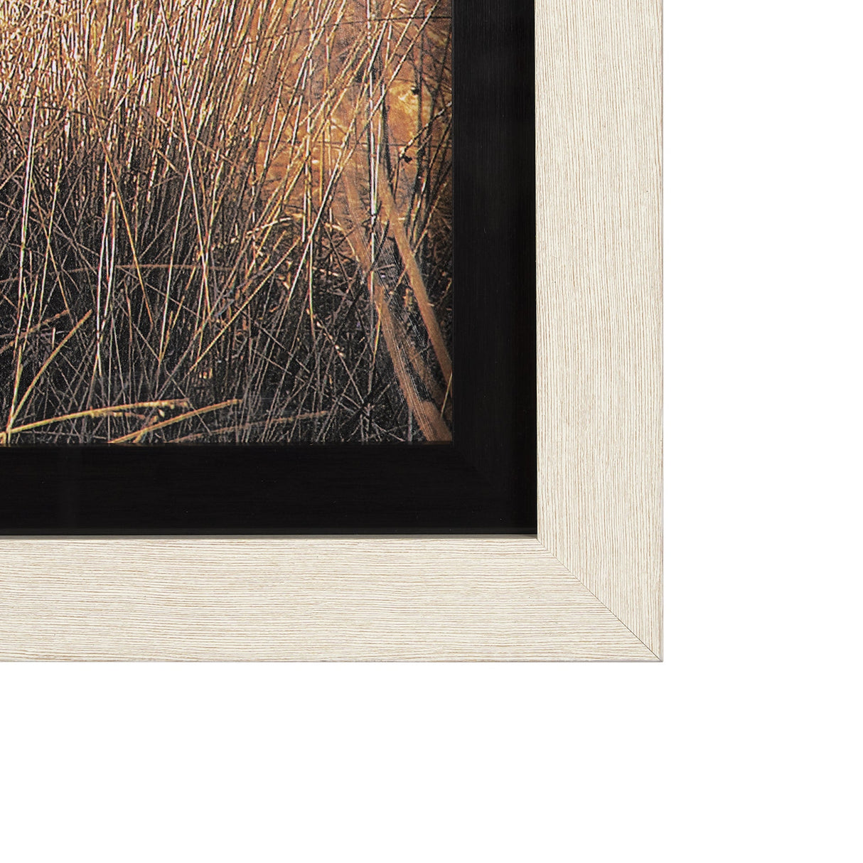 Young and Old Highlander by Mercana Studio Hand Embellished Framed Photo Art Print Matted under Glas by Mercana at Eve Furniture