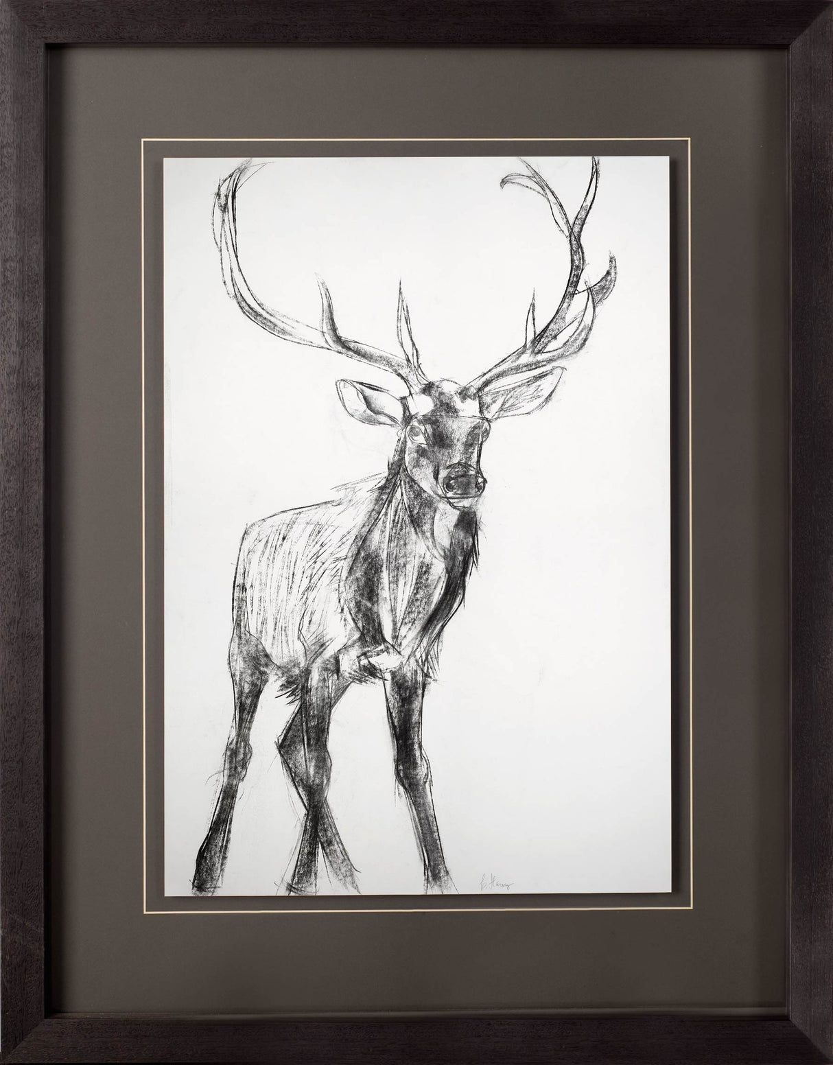 Young Elk by Harvey, Brenna a Framed Art Print Matted under Glass by Mercana at Eve Furniture