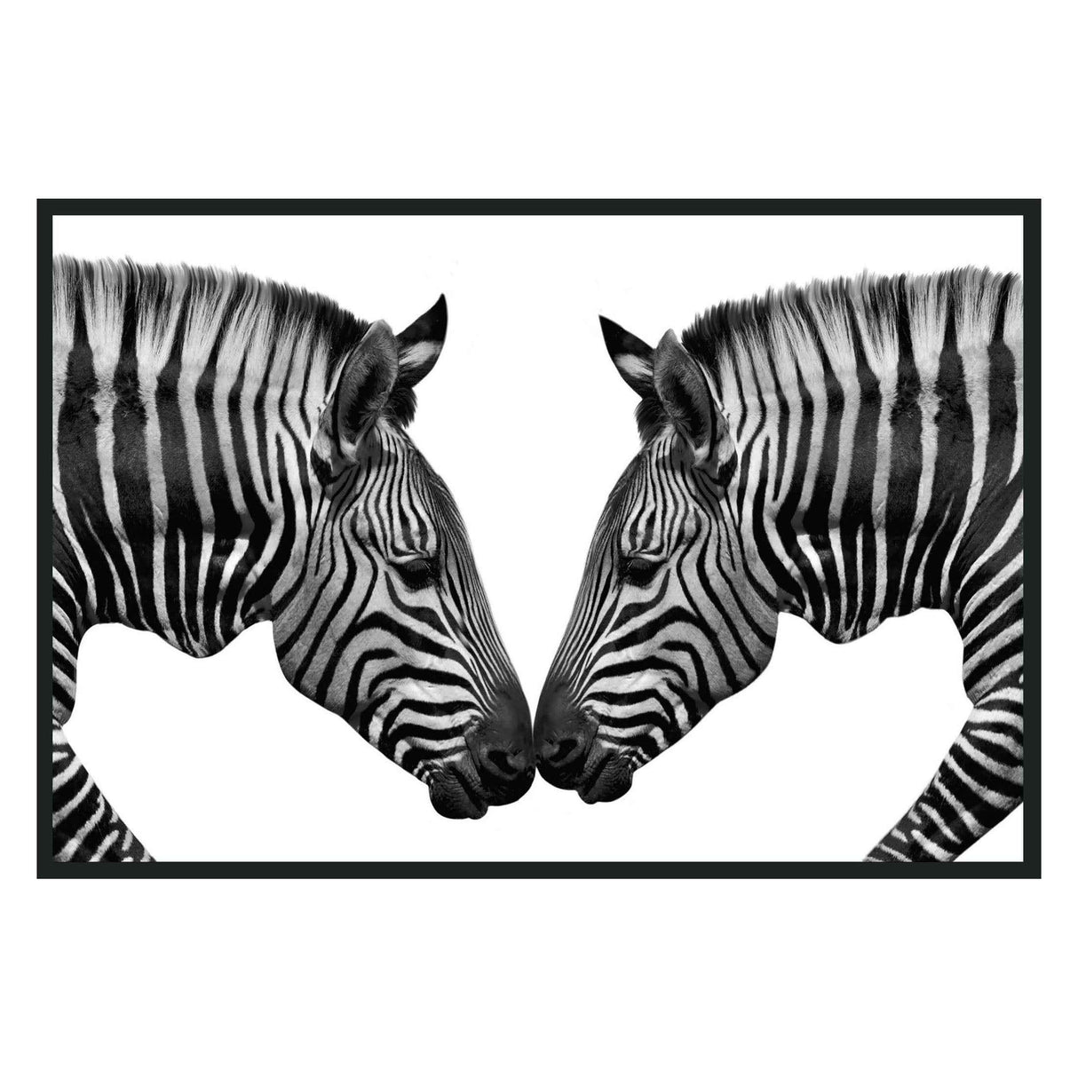 Zebras Black/White Photography 48x72 by Classic Home at Eve Furniture