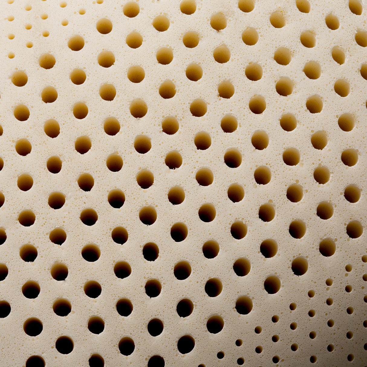 Zoned Talalay Latex White Queen High Loft - Plush Pillow by Malouf at Eve Furniture