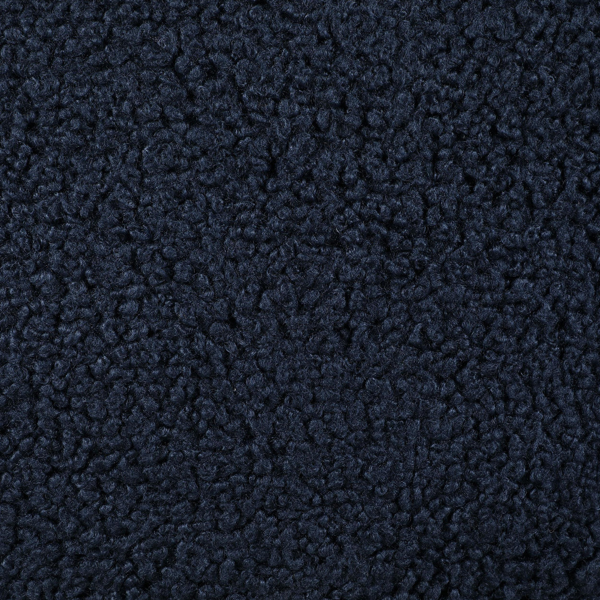 Zonie Blue Boucle Upholstered Barrel Back Accent Chair by Coaster at Eve Furniture