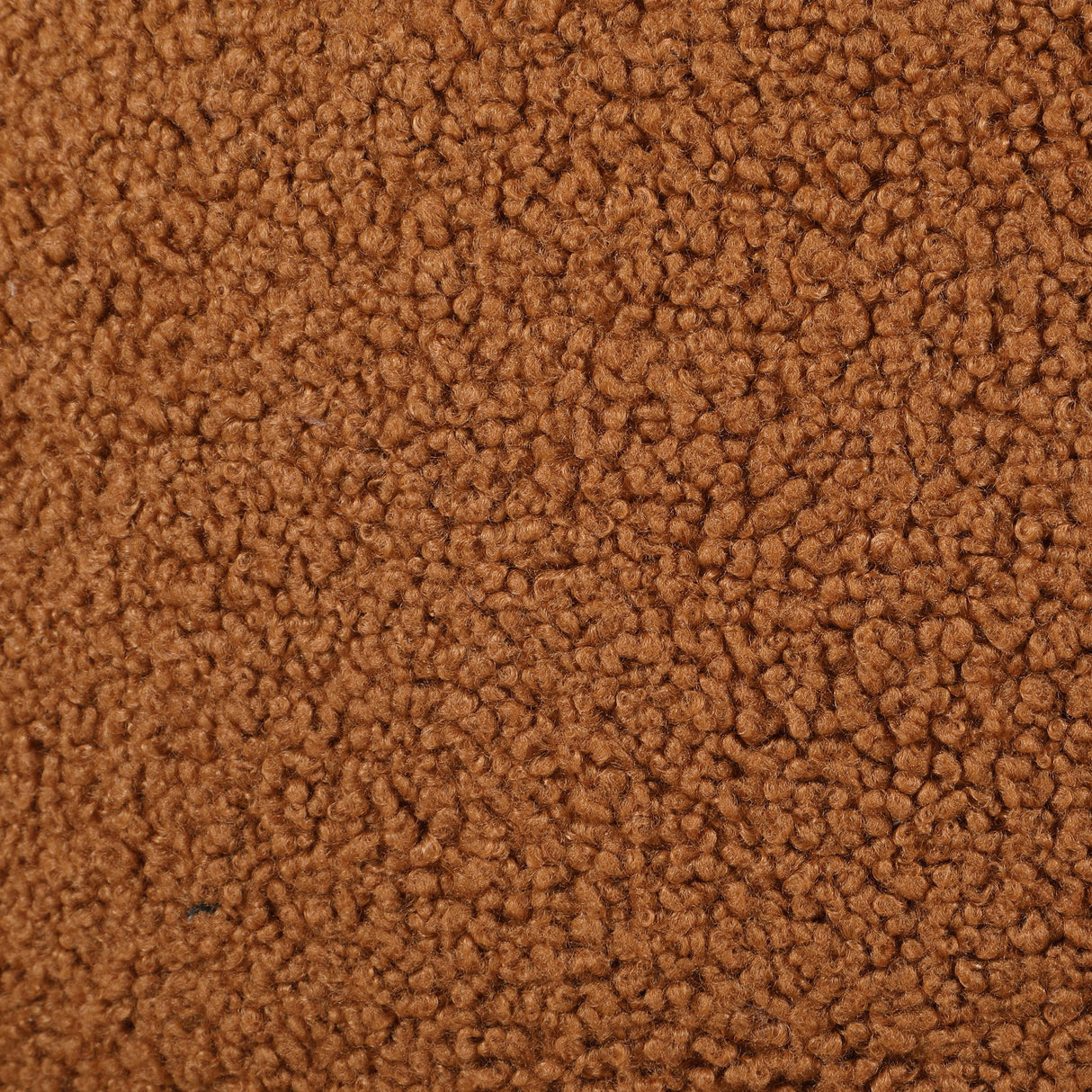 Zonie Orange Boucle Upholstered Barrel Back Accent Chair by Coaster at Eve Furniture