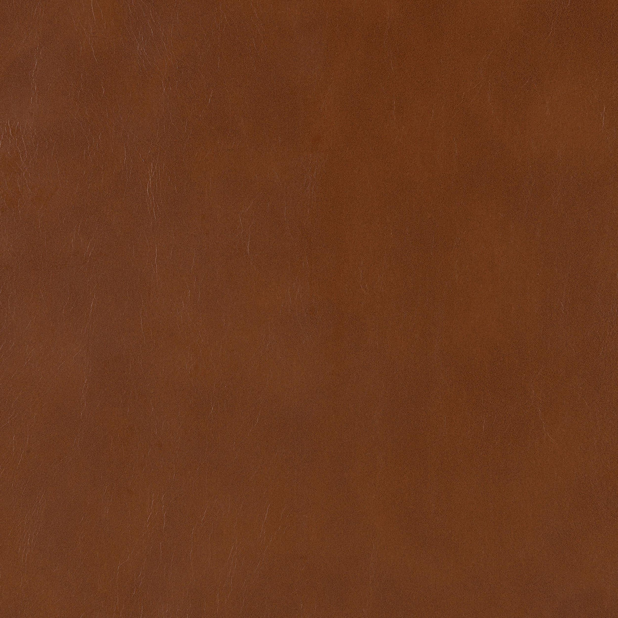 Zuni Saddle Faux Leather Upholstered Counter Stool (Set of 2) by Coaster at Eve Furniture