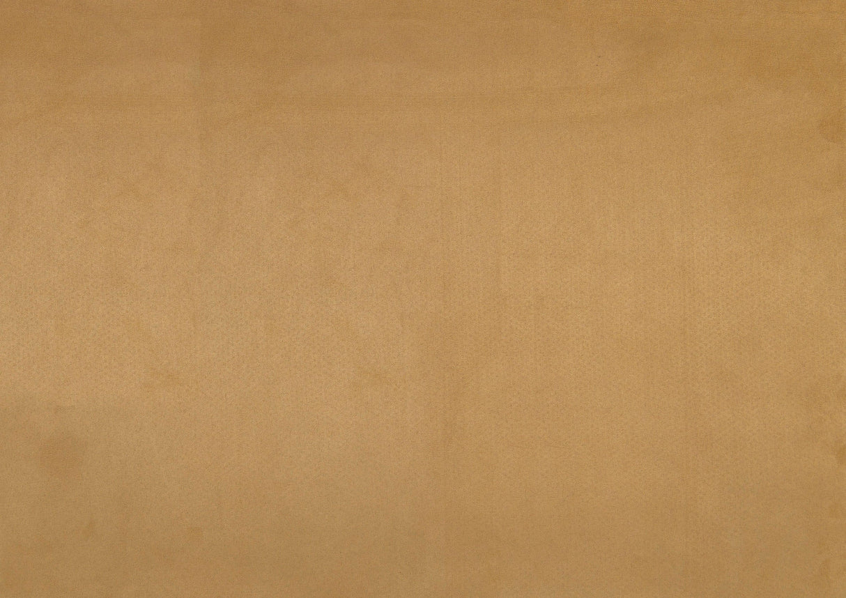 1203 Togo Yellow Accent Chair by Homelegance at Eve Furniture