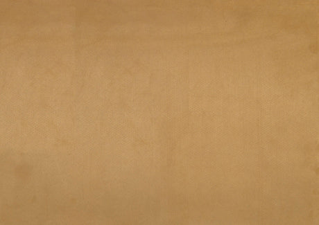 1203 Togo Yellow Accent Chair by Homelegance at Eve Furniture