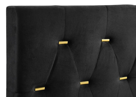 Kendall Black and Gold Upholstered Panel Bedroom Set by Coaster at Eve Furniture