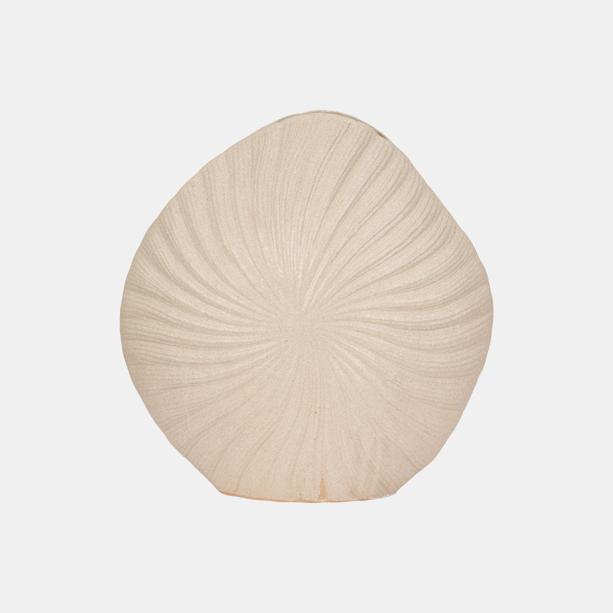 23" White Sand Shell Vase, White