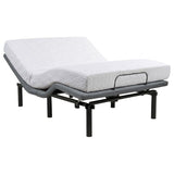 Tasca Black Full Dual-Motor Adjustable Bed Base by Coaster at Eve Furniture
