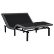 Tasca Black Queen Dual-Motor Adjustable Bed Base by Coaster at Eve Furniture