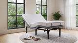 Tasca Black Twin Dual-Motor Adjustable Bed Base by Coaster at Eve Furniture