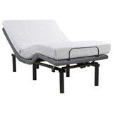Tasca Black Twin Dual-Motor Adjustable Bed Base by Coaster at Eve Furniture