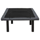 Tasca Black Twin Dual-Motor Adjustable Bed Base by Coaster at Eve Furniture