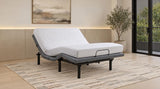 Weston Black/Grey Queen Dual-Motor Massage Adjustable Bed Base by Coaster at Eve Furniture